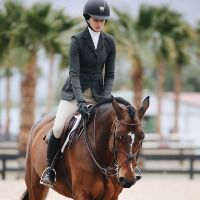 Horse Riding